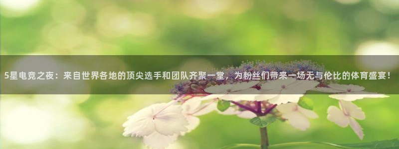 乐球直播nba：5星电竞之夜：来自世界各地的顶尖选手和团队齐聚一堂，为粉丝们带来一场无与伦比的体育盛宴！