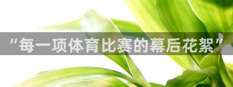 nba在线直播高清乐球：“每一项体育比赛的幕后花絮”