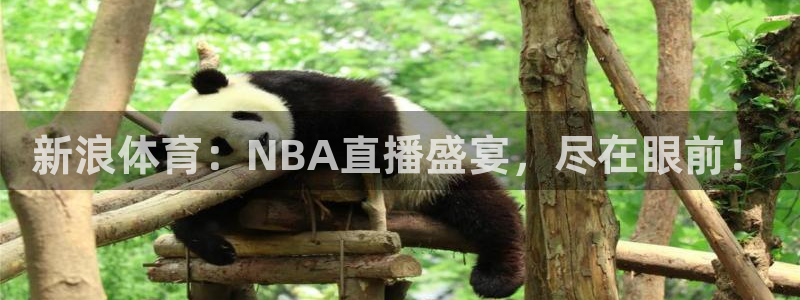 乐球直播app在线直播观看：新浪体育：NBA直播盛宴，尽在眼前！