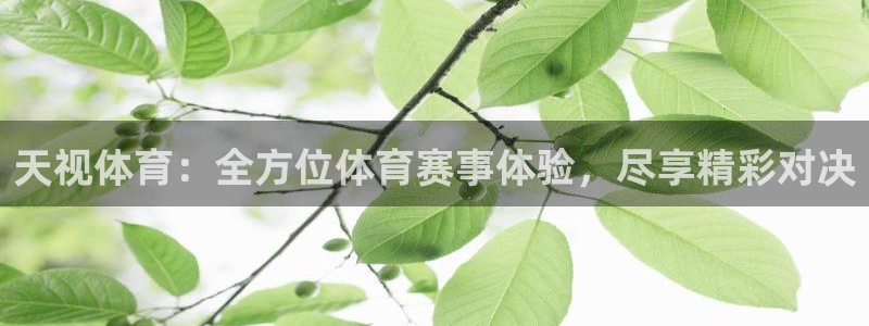 nba乐球吧直播：天视体育：全方位体育赛事体验，尽享精彩对决