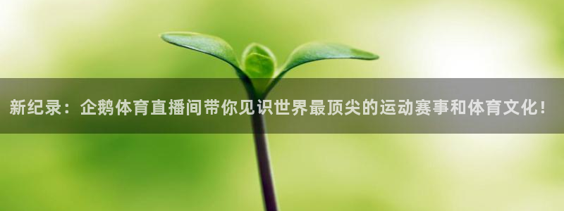 乐球直播体育免费直播：新纪录：企鹅体育直播间带你见识世界最顶尖的运动赛事和体育文化！
