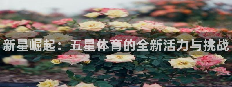 乐球体育在线直播免费观看：新星崛起：五星体育的全新活力与挑战