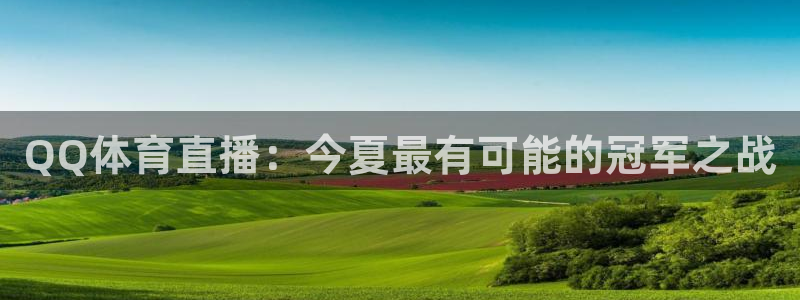 乐球直播体育免费直播nba：QQ体育直播：今夏最有可能的冠军之战