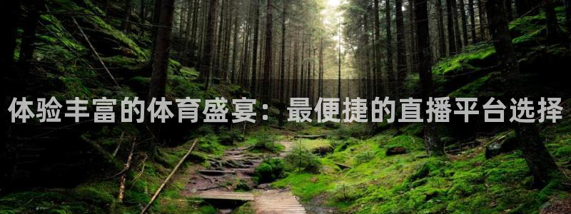 乐球直播看球直播：体验丰富的体育盛宴：最便捷的直播平台选择
