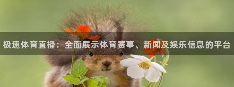 下载乐球直播：极速体育直播：全面展示体育赛事、新闻及娱乐信息的平台