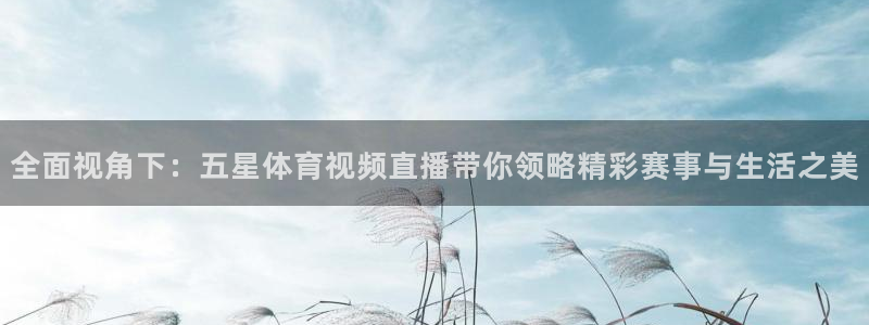 乐球直播下载官网：全面视角下：五星体育视频直播带你领略精彩赛事与生活之美